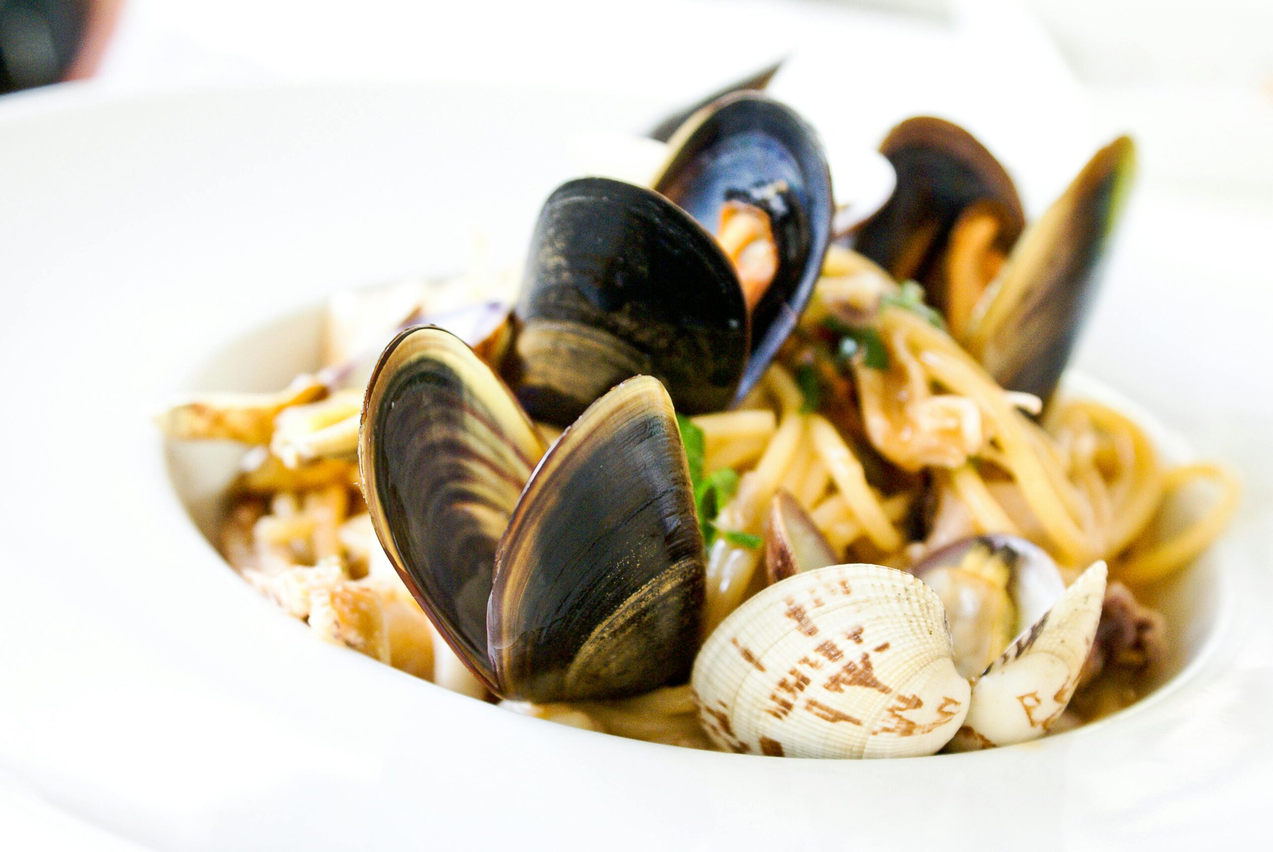 Piatti tipici della cucina sarda